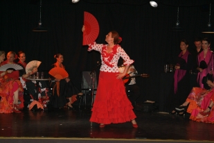 Flamenkita