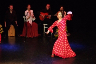 Flamenkita